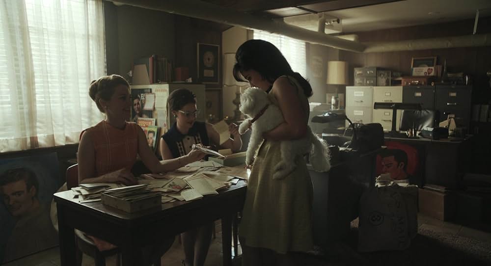 プリシラの画像