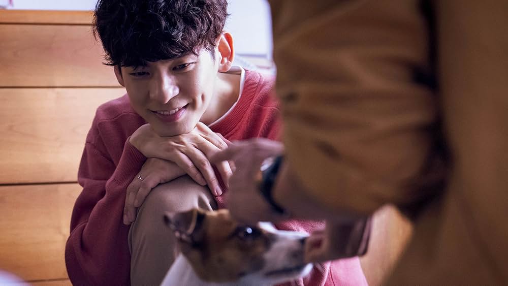 僕と幽霊が家族になった件の画像