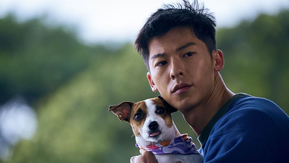 僕と幽霊が家族になった件の画像