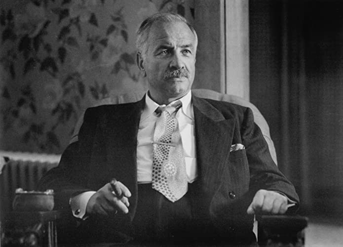 「わが心のボルチモア」アーミン・ミューラー＝スタールの画像