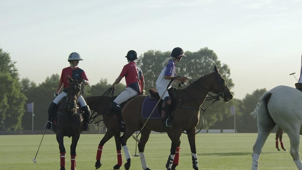 赤と白とロイヤルブルーの画像