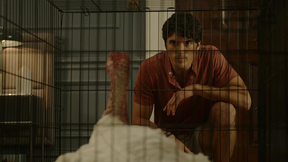 赤と白とロイヤルブルーの画像