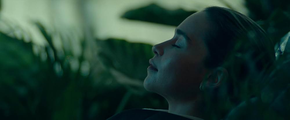 ポッド・ジェネレーションの画像