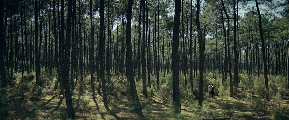 ポッド・ジェネレーションの画像