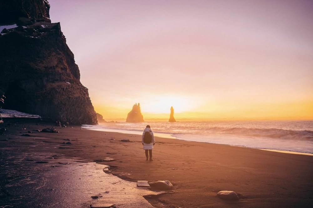 四月になれば彼女はの画像