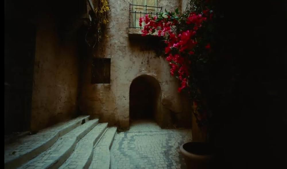 哀れなるものたちの画像