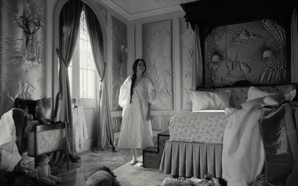 哀れなるものたちの画像