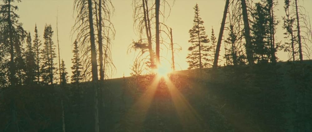 リトル・ワンダーズの画像