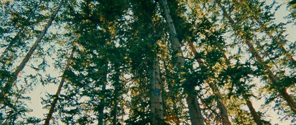 リトル・ワンダーズの画像