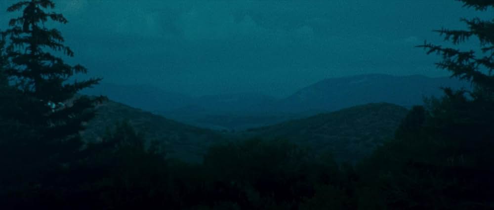 リトル・ワンダーズの画像