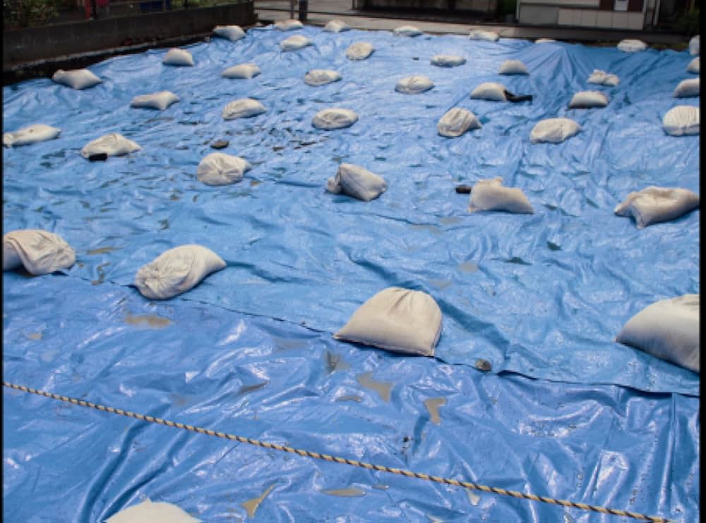 PERFECT DAYSの画像