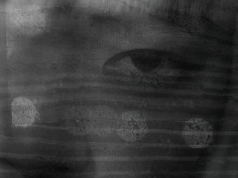 PERFECT DAYSの画像