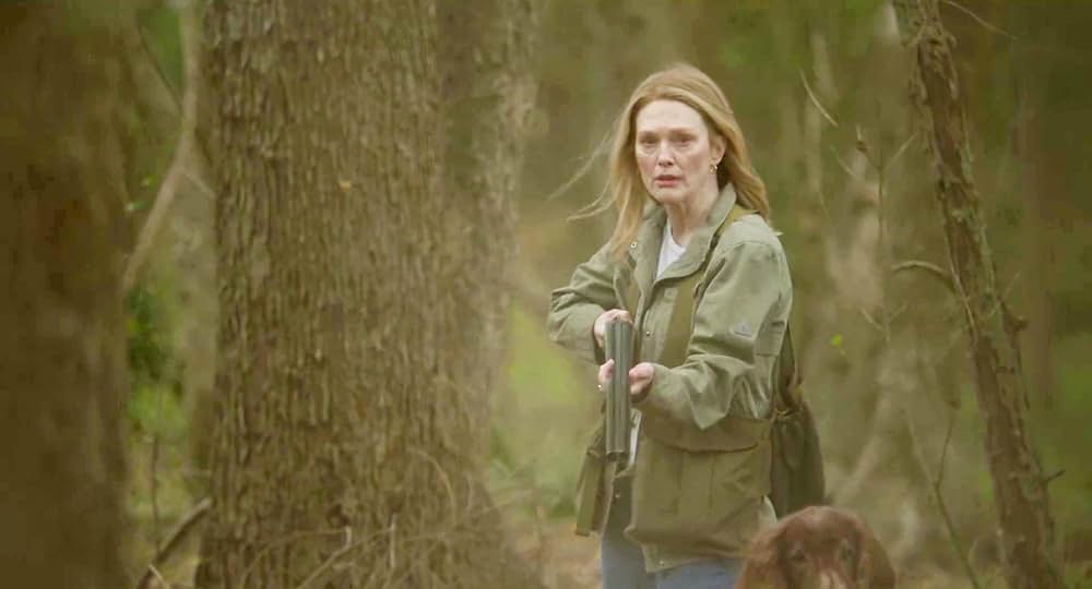 メイ・ディセンバー ゆれる真実の画像