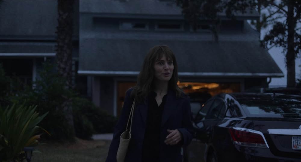 メイ・ディセンバー ゆれる真実の画像