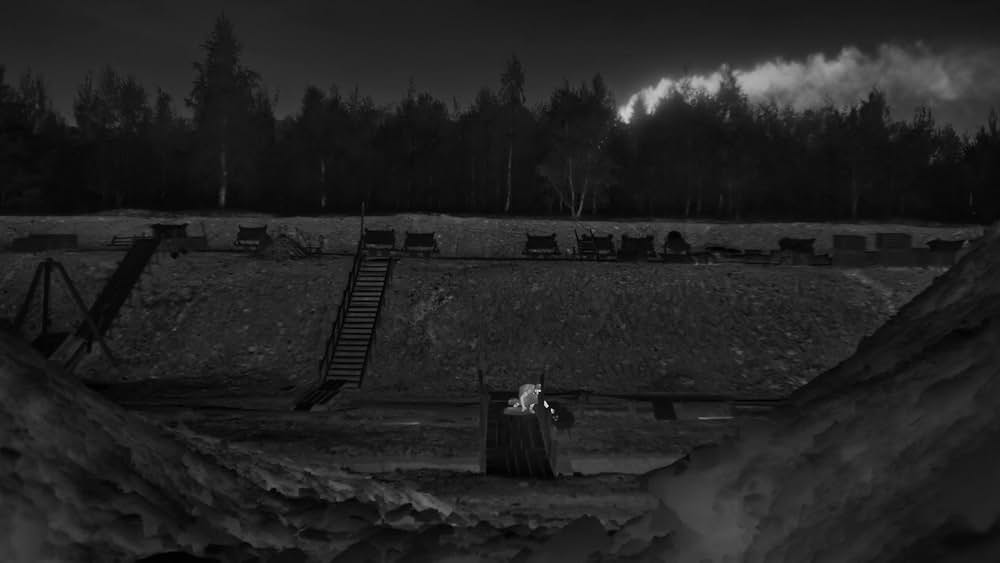 関心領域の画像