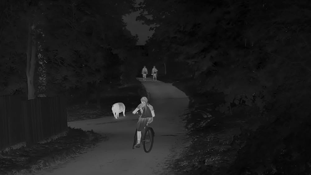 関心領域の画像