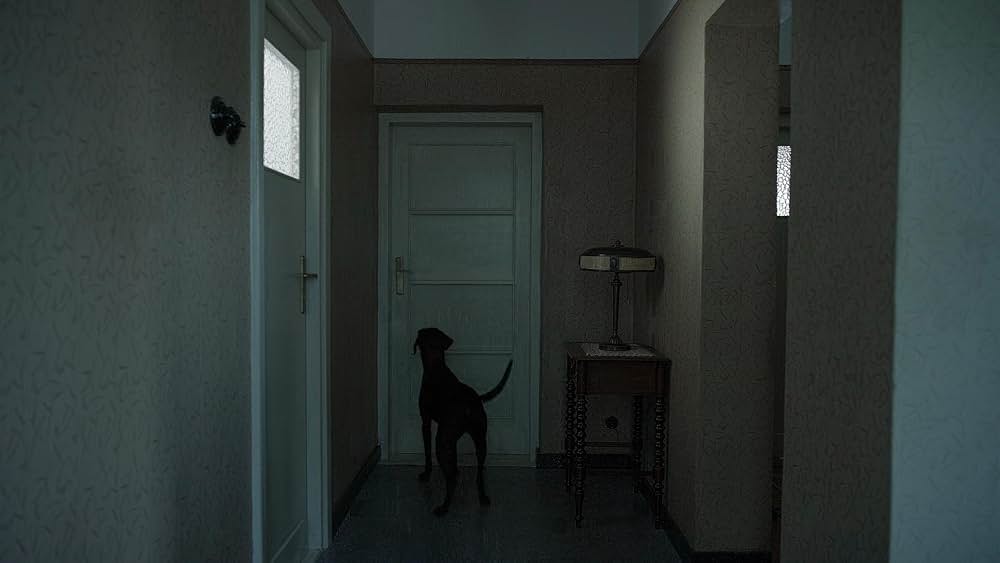 関心領域の画像