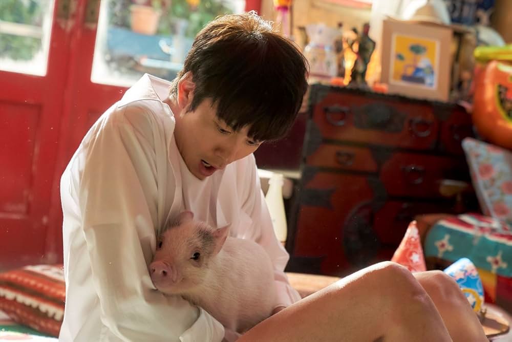 ゆとりですがなにか インターナショナルの画像