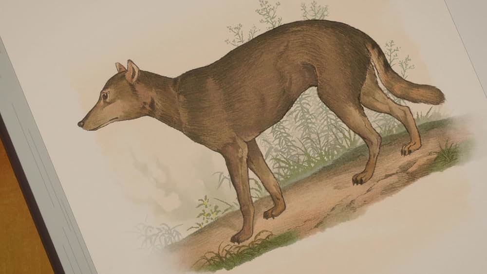 北極百貨店のコンシェルジュさんの画像