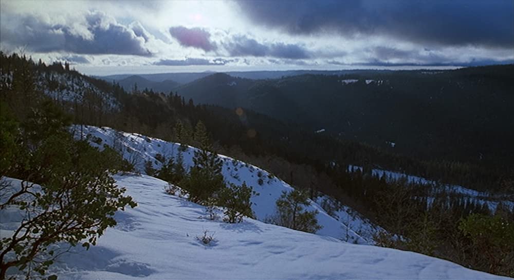 ミザリーの画像