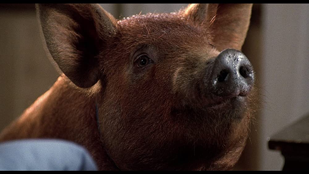 ミザリーの画像