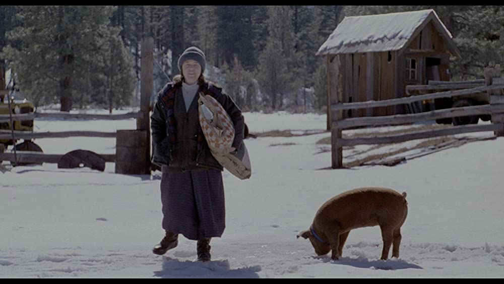 ミザリーの画像