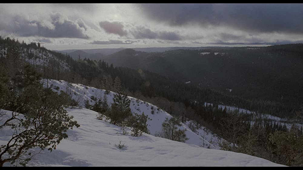 ミザリーの画像