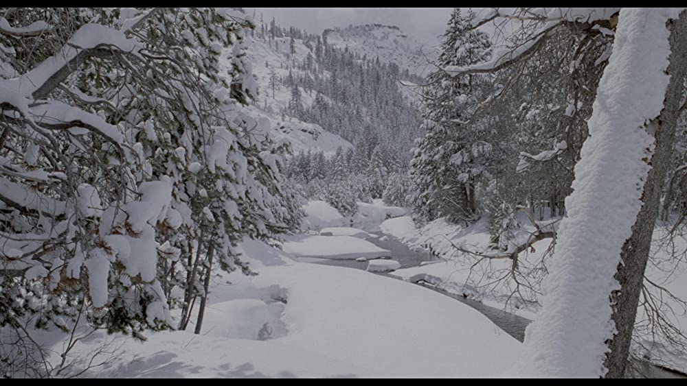 ミザリーの画像