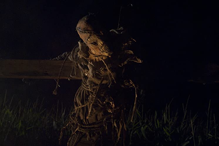 ザ・フィールドの画像