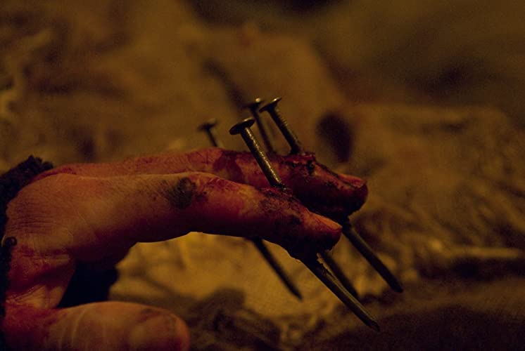 ザ・フィールドの画像