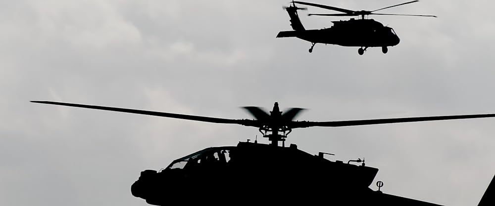 コヴェナント/約束の救出の画像