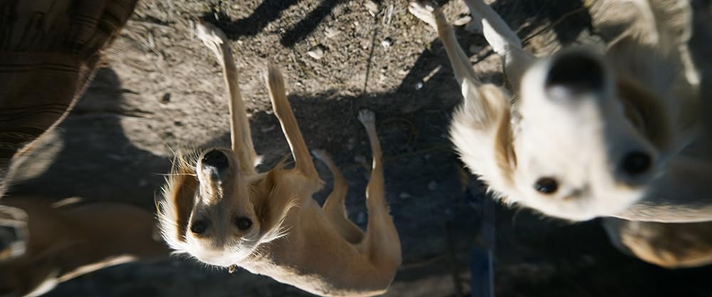 コヴェナント/約束の救出の画像