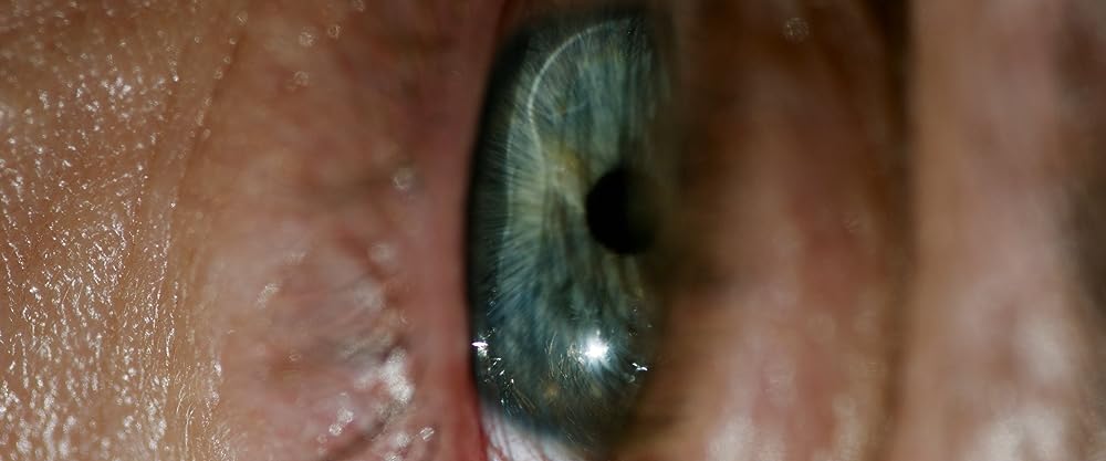 コヴェナント/約束の救出の画像