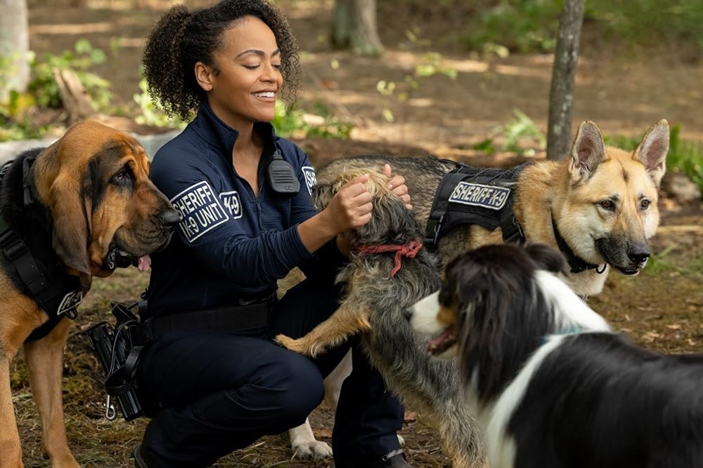 スラムドッグスの画像