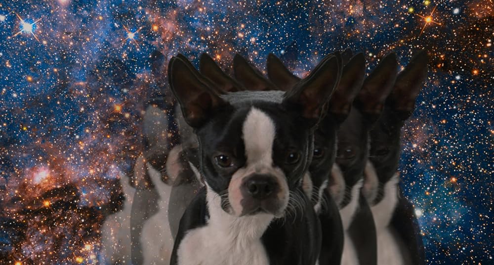 スラムドッグスの画像