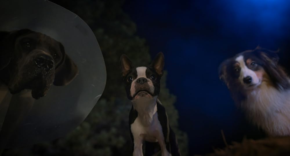 スラムドッグスの画像