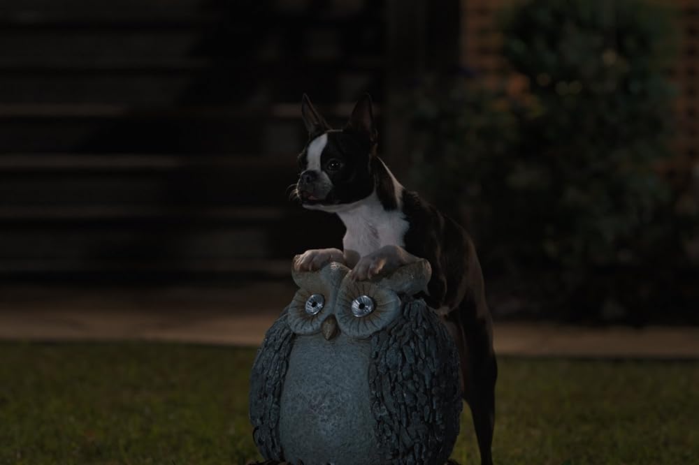 スラムドッグスの画像