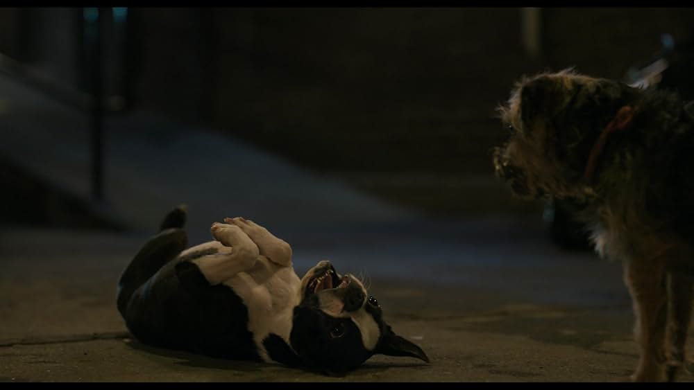 スラムドッグスの画像