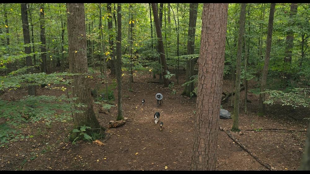 スラムドッグスの画像