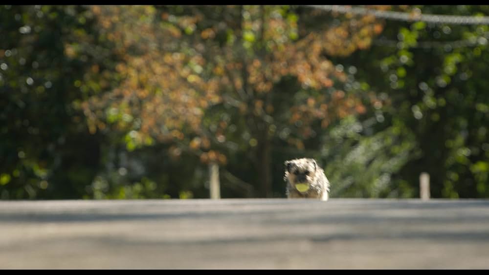 スラムドッグスの画像