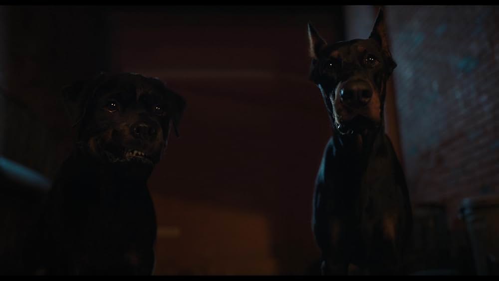 スラムドッグスの画像