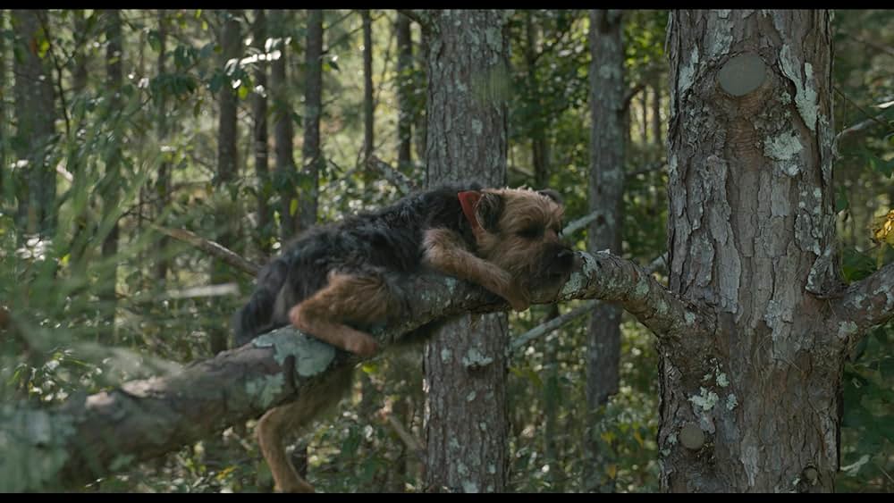 スラムドッグスの画像