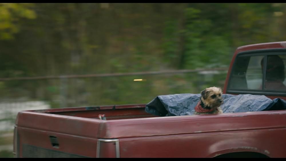 スラムドッグスの画像