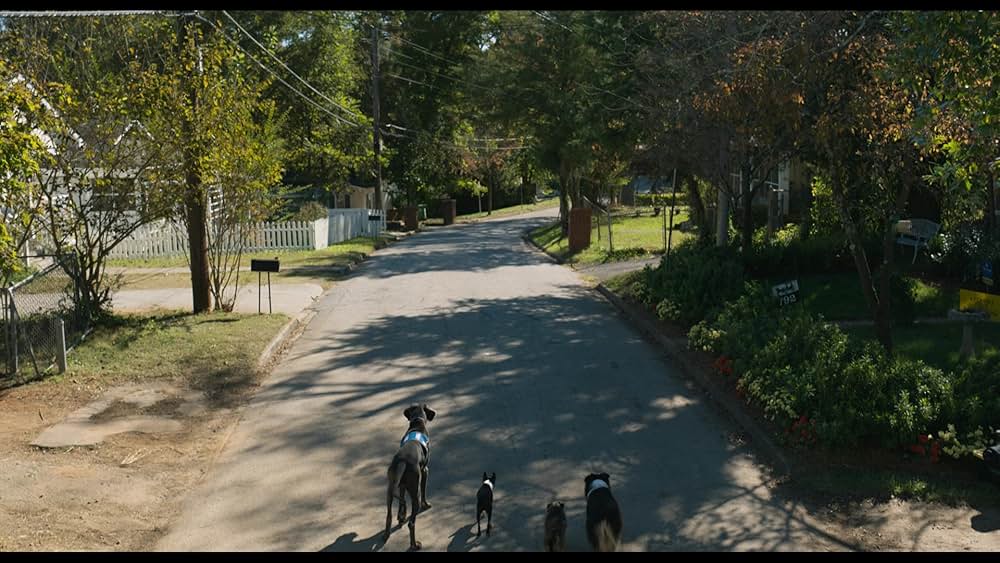 スラムドッグスの画像