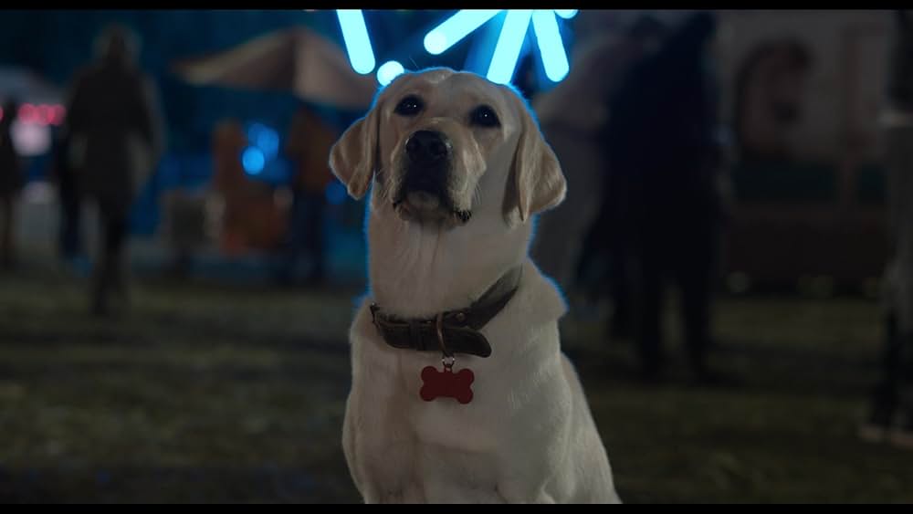 スラムドッグスの画像