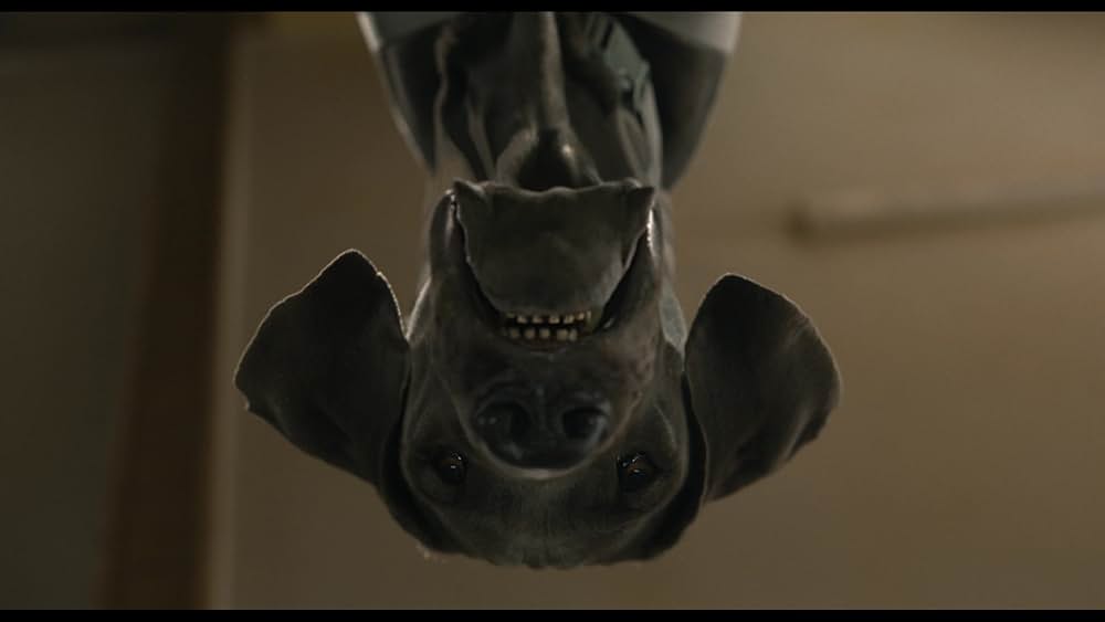 スラムドッグスの画像