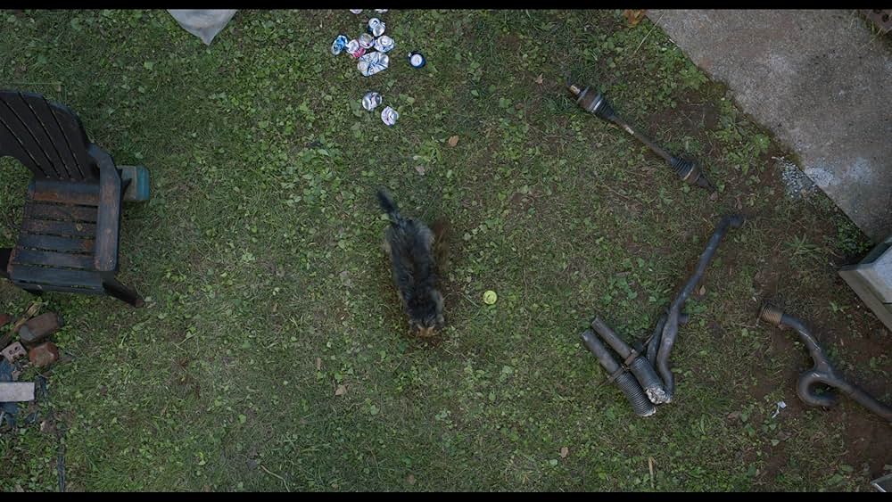 スラムドッグスの画像