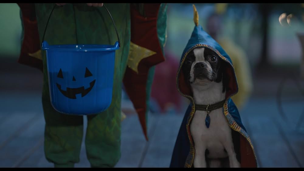 スラムドッグスの画像