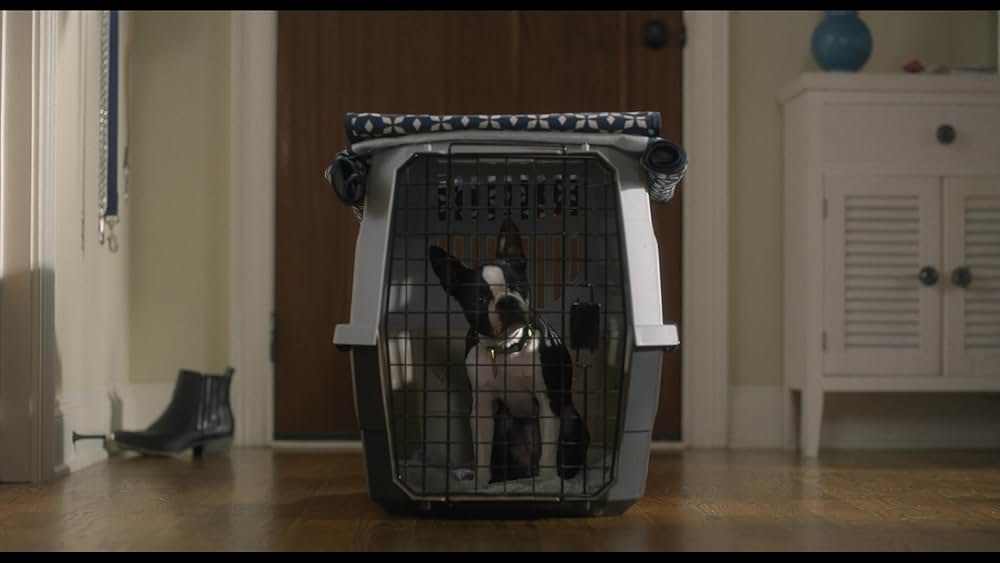 スラムドッグスの画像