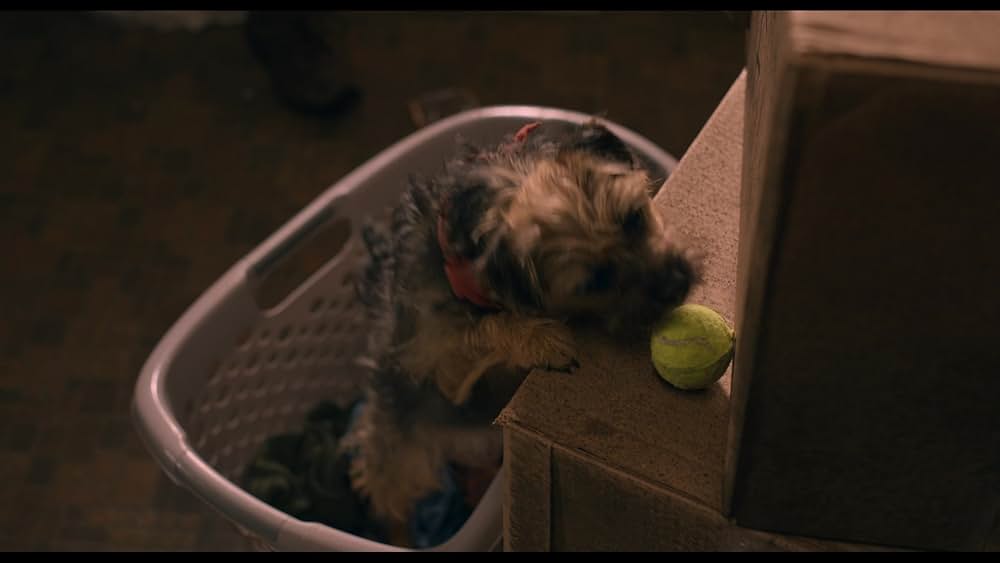 スラムドッグスの画像